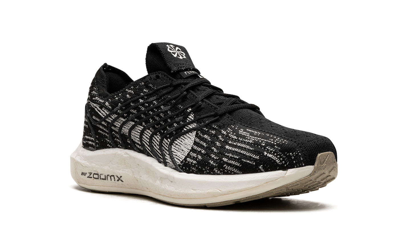 PEGASUS TURBO NEXT NATURE WMNS"Black Sail" DM3414 001