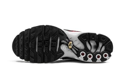 Air Max Plus TN SE "Striped" AT0040 001