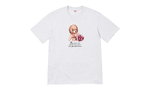Dust Tee "FW25 - Ash Grey" SU26813