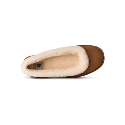 Women's Zora Ballet Flat in Chestnut Bundled with Care Kit + Socks