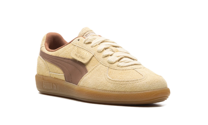 Palermo OG "Chamomile Brown Mushroom" 397251 01