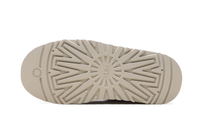 Tazz Love '26 "Sea Salt Rosetta" 1181650 SLTR