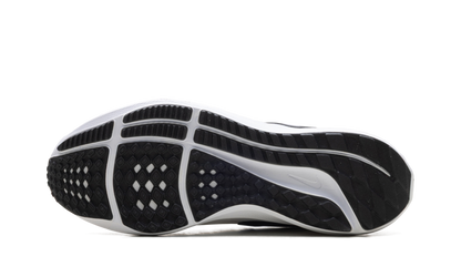 Air Zoom Pegasus 39 TB WMNS"WHITE BLACK" DM0165 100