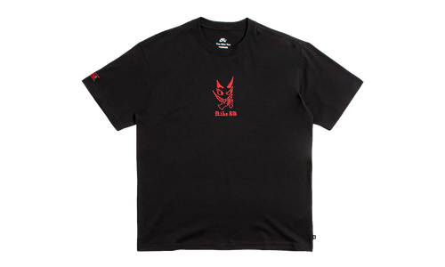 SB Charcoal Dunk T-shirt "Black" HV2195 010