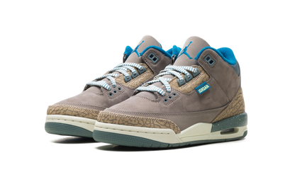 Air Jordan 3 GS "We Outside" IB7066 001