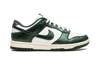 DUNK LOW WMNS"Vintage Green" DQ8580 100