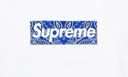 Bandana Box Logo Tee "FW19" SU8604