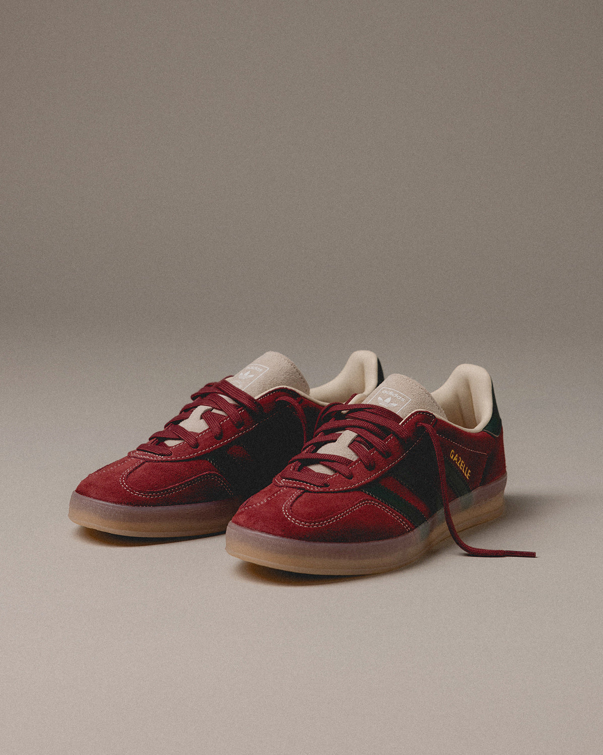 Gazelle Indoor