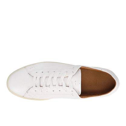 Astor Low Lace Up Sneakers