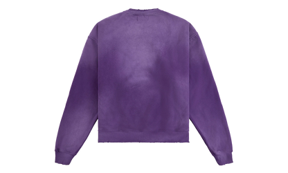 Eagle Sweatshirt "Purple / Red" DSM S26 057