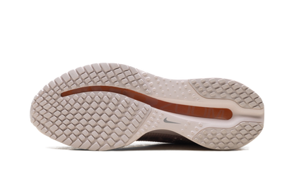 Pegasus Premium WMNS"Metallic Rose Gold" HQ2593 603