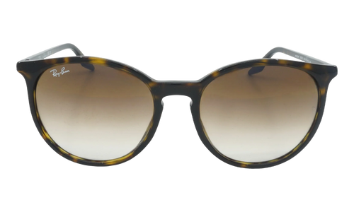Square Sunglasses "Havana" RB2204F-902-51_54
