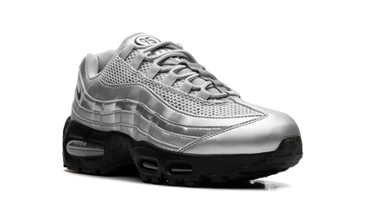 Nike Air Max 95 "Total 90 - Metallic Silver" IB6830 002