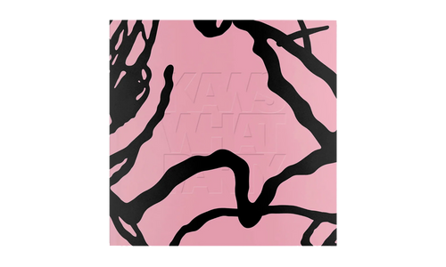 What Party Booklet "Pink Muticolor" KAWS202460