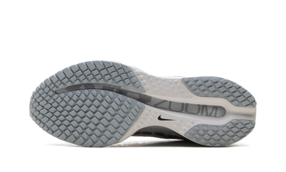 Pegasus Premium WMNS"Metallic Silver" HQ2593 005