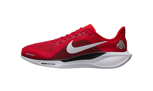 Air Zoom Pegasus 41 "Ohio State" IB3254-600