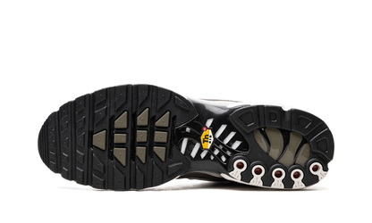 Air Max Plus SE "Flat Pewter" DV7665 002