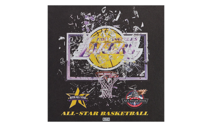 All-Star Los Angeles Lakers Shattered Backboard "Black" KHM034949 001