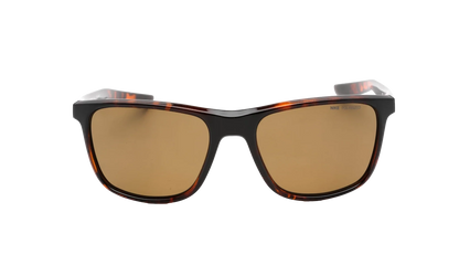 Essential Endeavor Polarized Sunglasses "Tortoise / Brown" EV1124 220