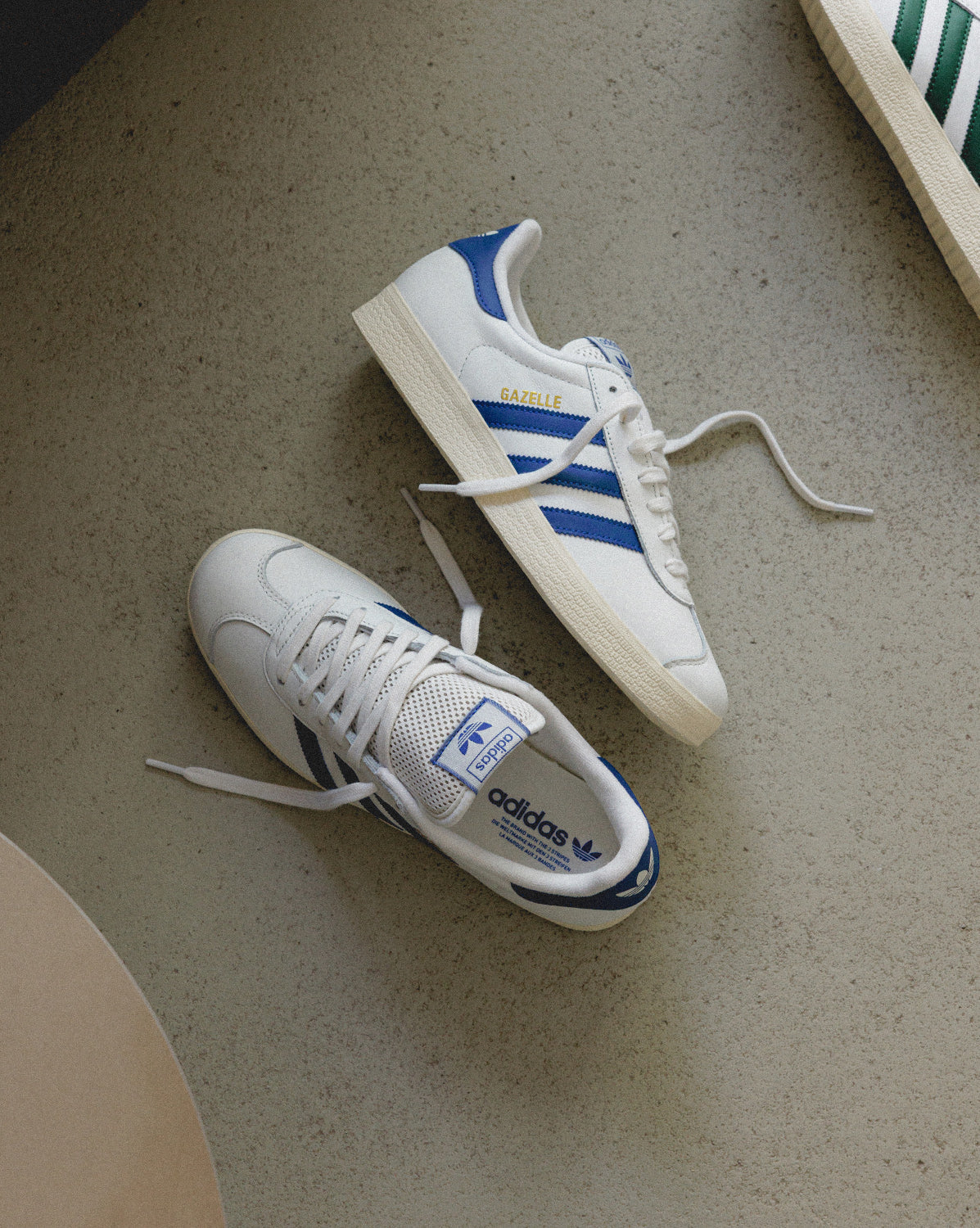 Gazelle
