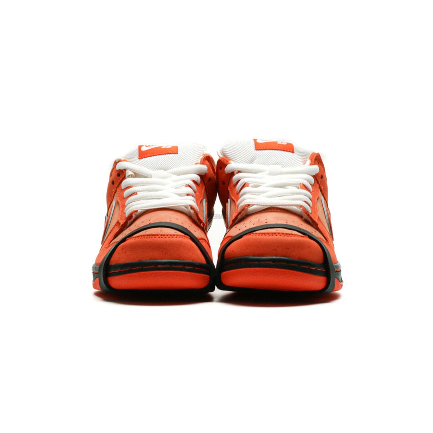 Dunk Low x Concepts 'Orange Lobster' (2022)