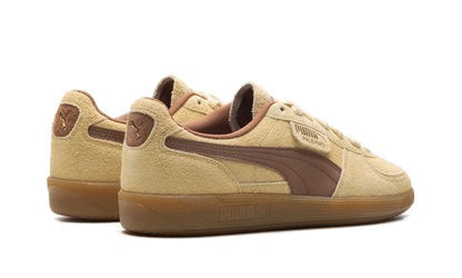 Palermo OG "Chamomile Brown Mushroom" 397251 01
