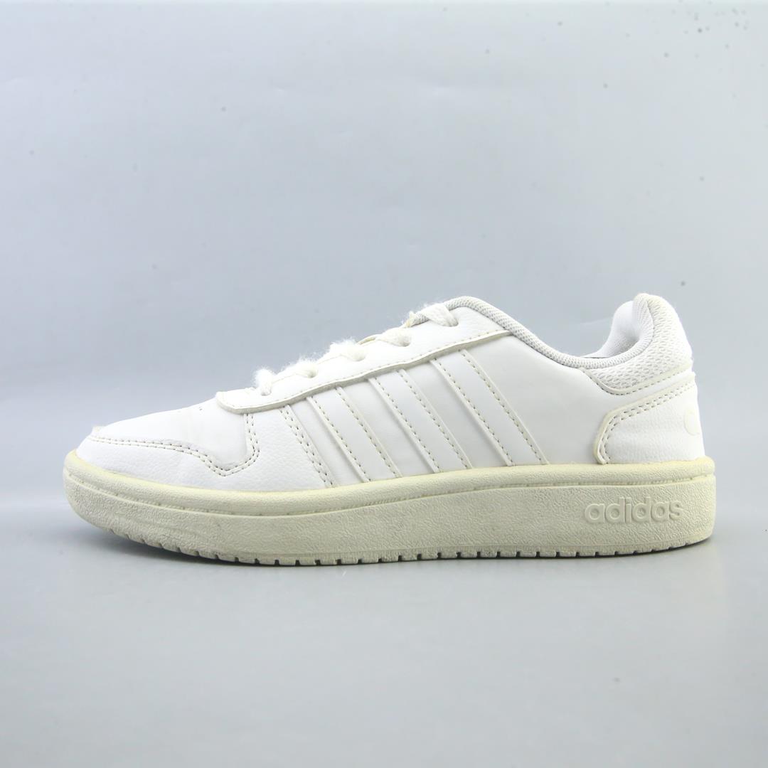 HOOPS 2.0