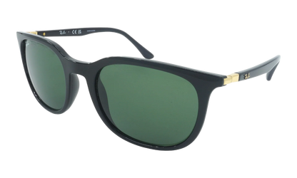 Pillow Sunglasses "Black" RB4386-601-31_54