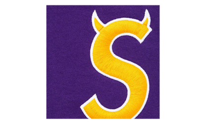 Devil S Logo Zip Up Hooded Sweatshirt "SS26 - Purple" SU27311