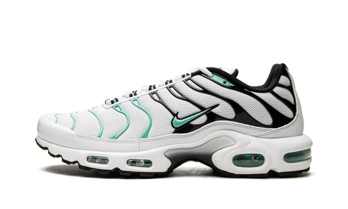 Air Max Plus "Atmos" 604133 148