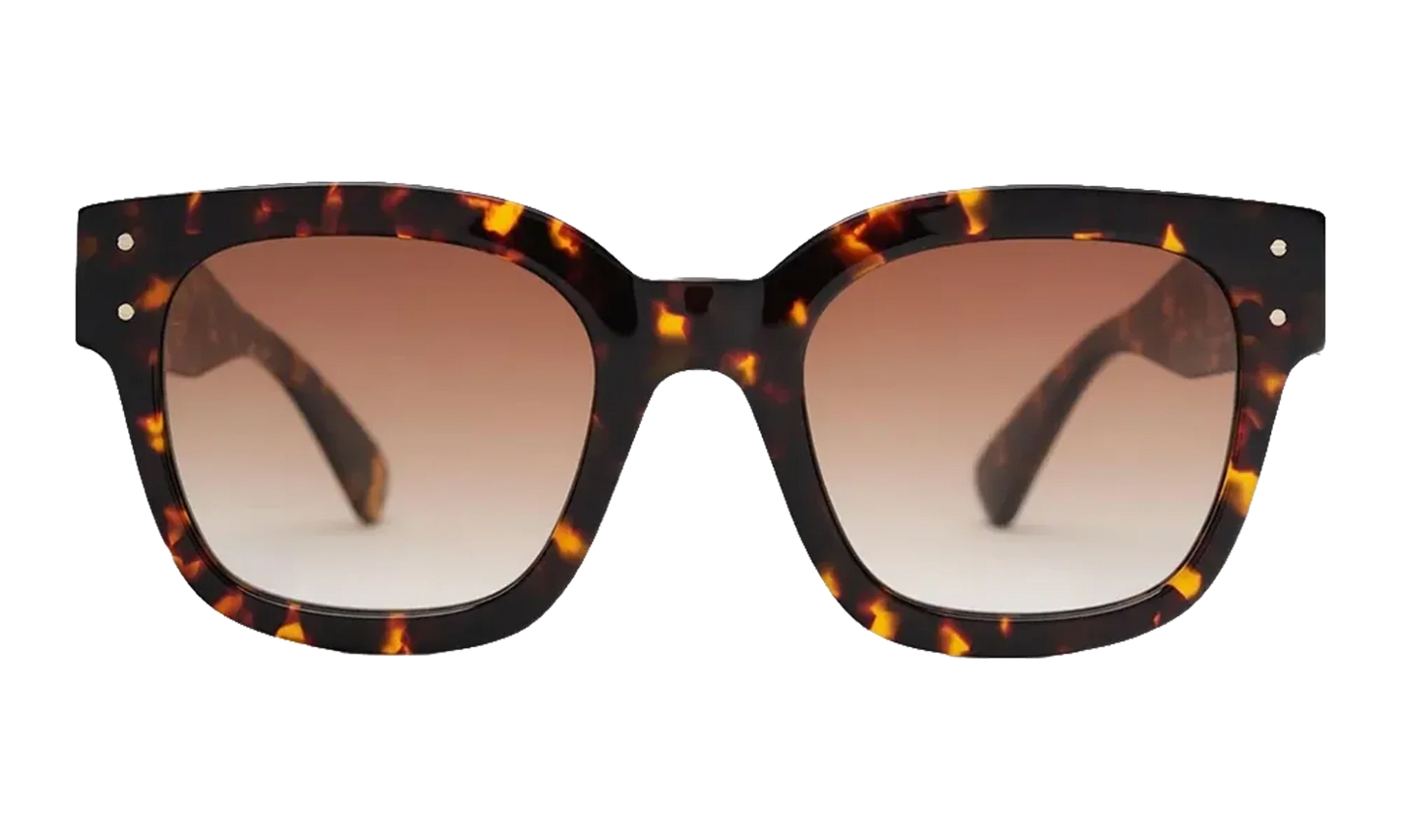 Amiri Classic MA Sunglasses "Tortoise Shell" AMACSN1004 968