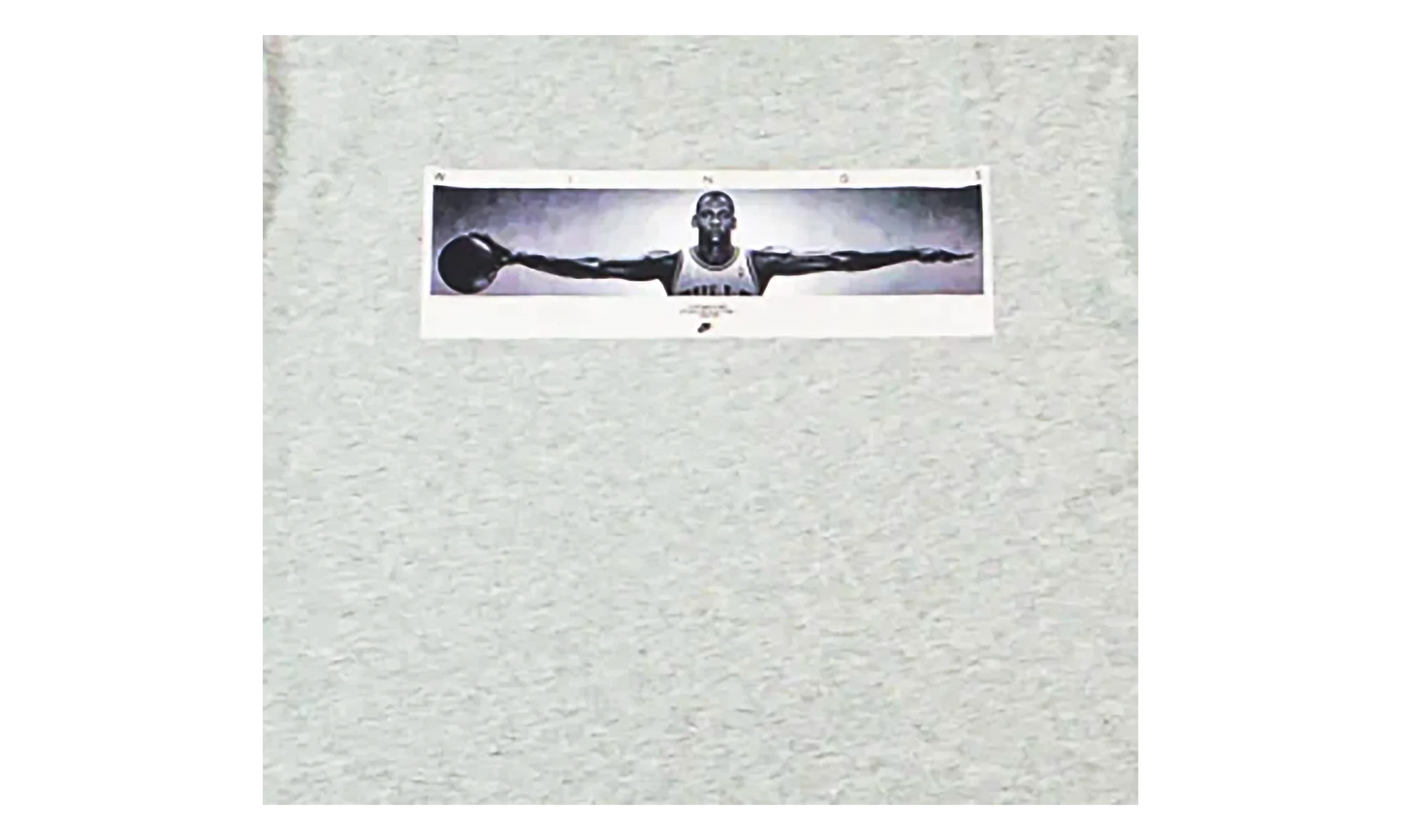 Air Jordan Wingspan Photo T-Shirt "Grey" IF5617 050