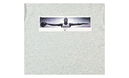 Air Jordan Wingspan Photo T-Shirt "Grey" IF5617 050