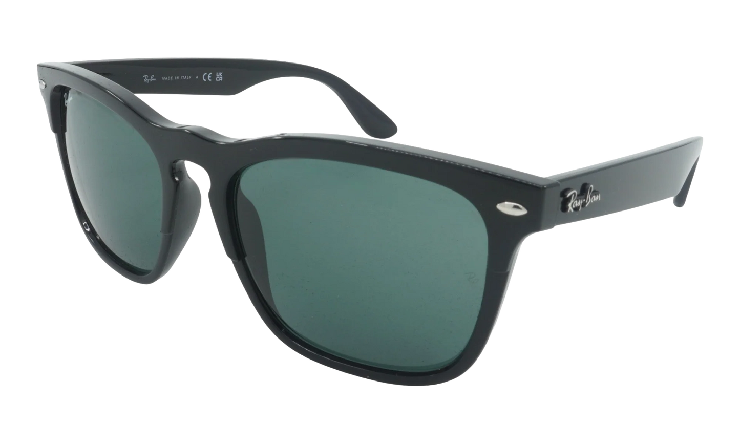 Steve Sunglasses "Black" RB4487-662971_54