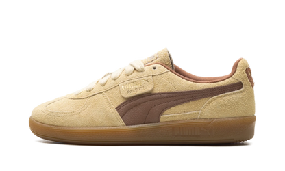 Palermo OG "Chamomile Brown Mushroom" 397251 01
