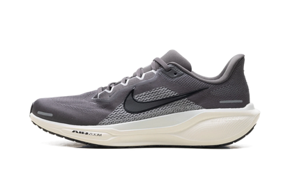 Air Zoom Pegasus 41 "Medium Ash Pure Platinum" FD2722 215