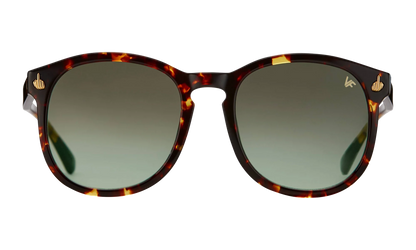 Revolution Acetate "Brown Tortoise / Gray Gradient" MPRE2 0007 40T5
