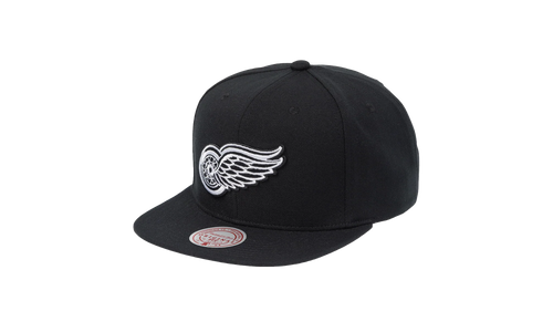 NHL Vintage Evergreen Black White Snapback Cap "Detroit Red Wings - Black" HS8545 DRWBLCK