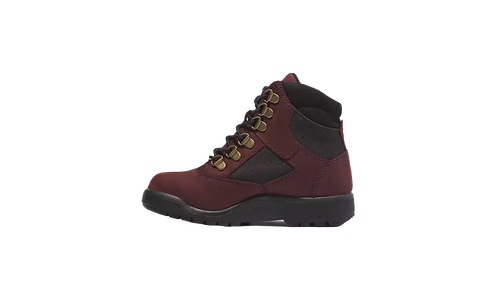 6-Inch Field Boot PS "Dark Port" TB0A5YHN C60