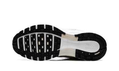 P-6000 WMNS"Light Orewood Brown" FQ2767 100