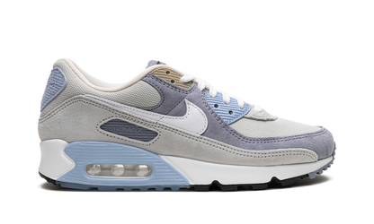 Air Max 90 "Ashen Slate" DM0035 400