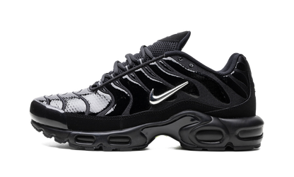 Air Max Plus "Metallic Black" FJ2591 001