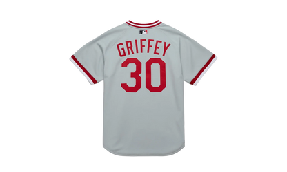 MLB Ken Griffey Jr. Alternate Jersey "2004 Cincinnati Reds - Grey" AJY17187 CRE04KGJGREY