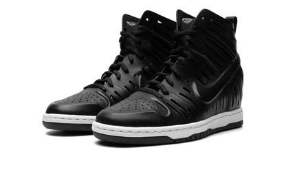 DUNK SKY HI 2.0 WMNS"JOLI BLACK" 725062 001