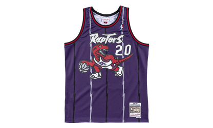 Toronto Raptors Damon Stoudamire Swingman Jersey "1995 - 96 Away" B6335651