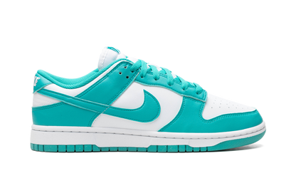 Dunk Low Next Nature WMNS"Dusty Cactus" DD1873 105
