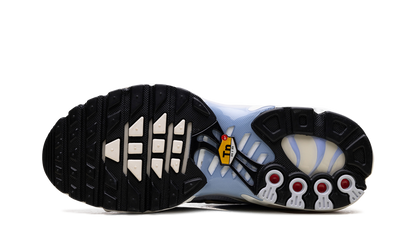 Air Max Plus WMNS"Daybreak" DZ3670 004