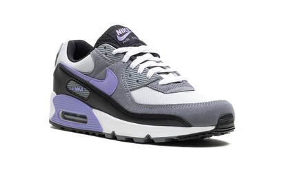 Air Max 90 "Light Thistle" DM0029 014
