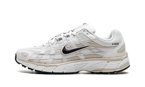 P-6000 WMNS"Light Orewood Brown" FQ2767 100