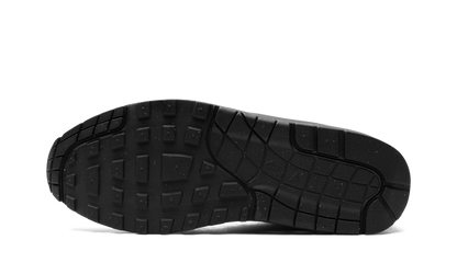 Air Max 1 "Chlorophyll" FZ5160 121
